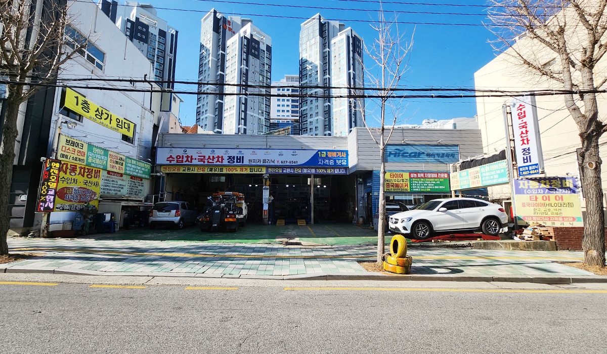 원지카클리닉 용호점