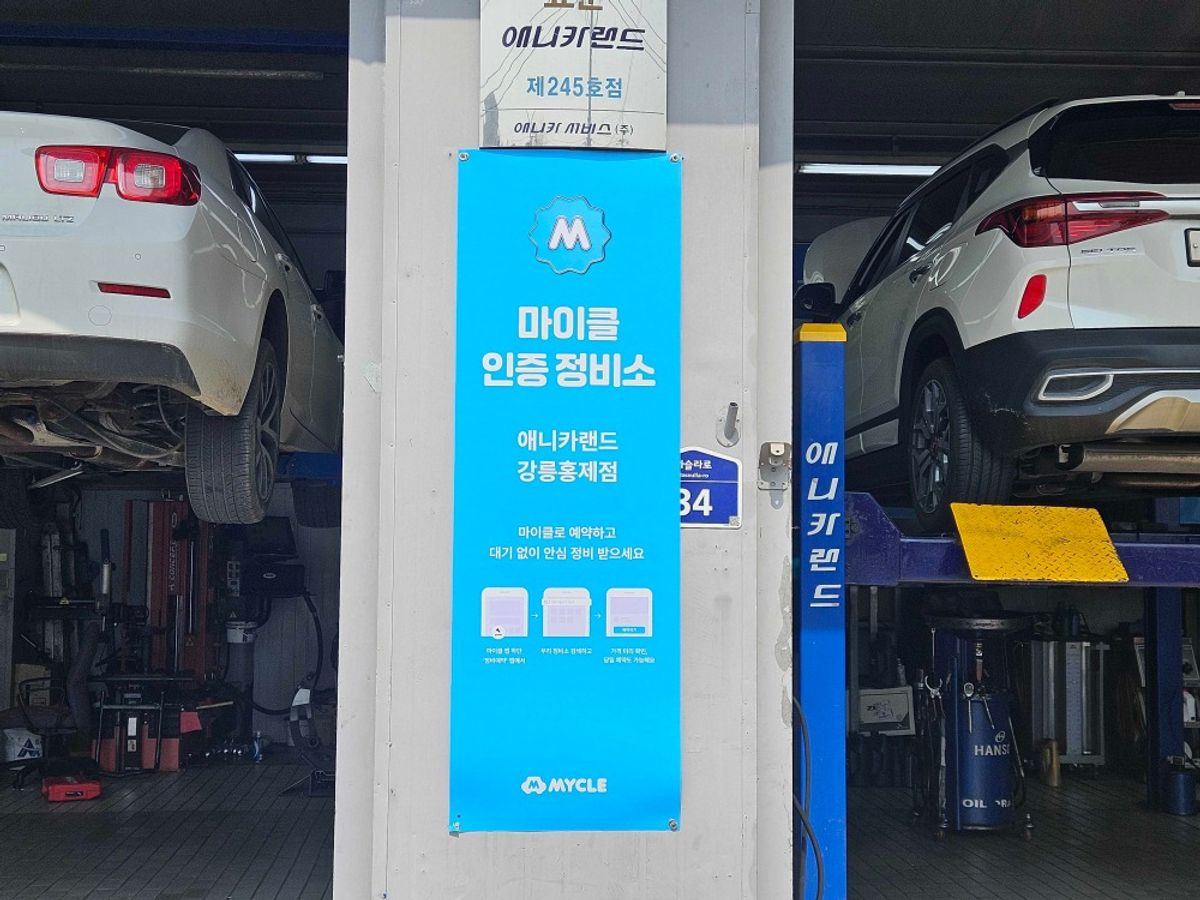 애니카랜드 강릉홍제점 이미지 2